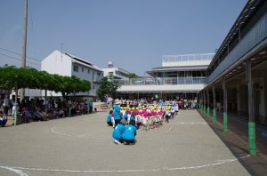 IMGP0533a