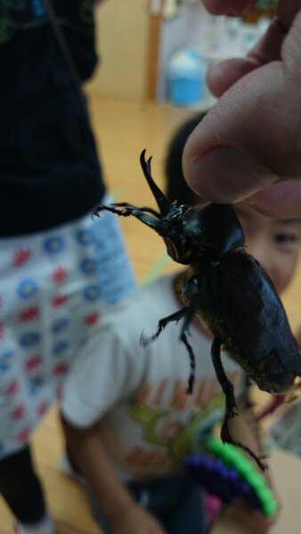 DSC_0062.JPG image