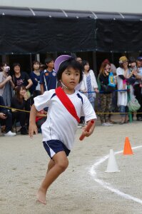 IMGP7782.JPG image