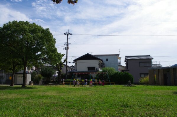IMGP8244.JPG image