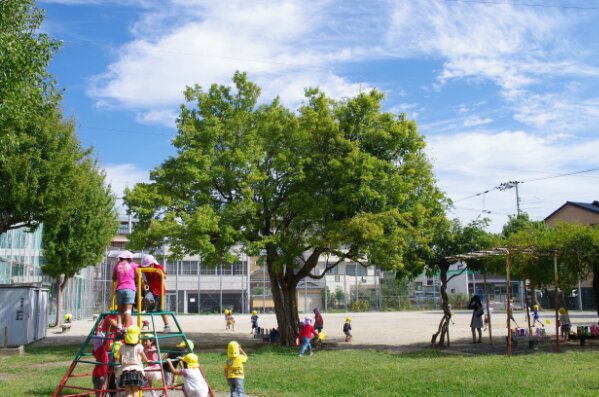 IMGP8252.JPG image