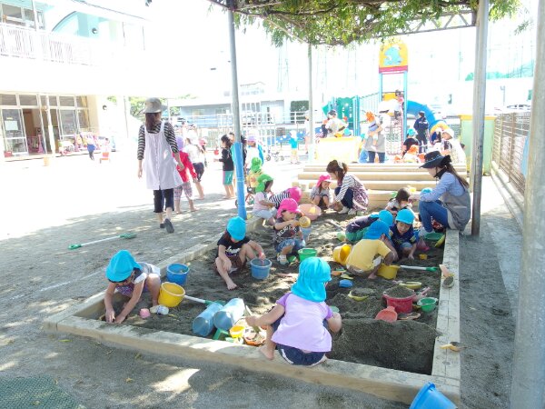 IMGP8290.JPG image