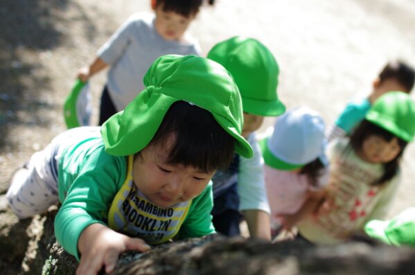 IMGP8440.JPG image