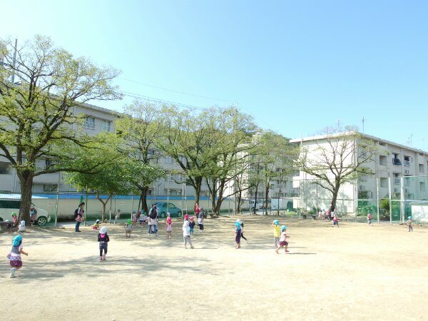 IMGP8447.JPG image