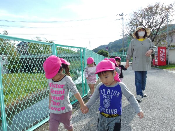 IMGP8615.JPG image