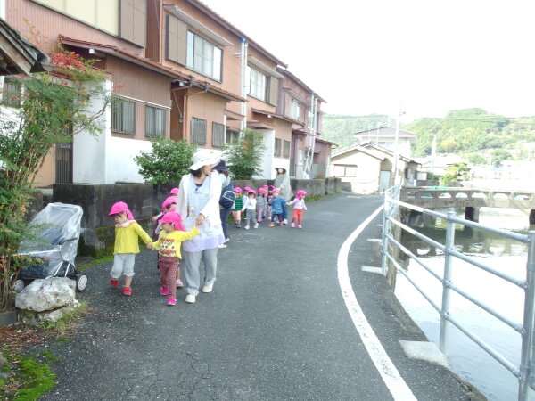 IMGP8624.JPG image